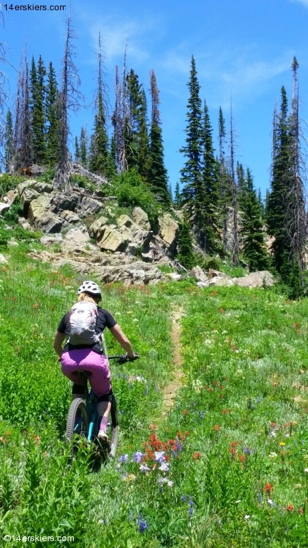 Brittany Konsella mountain biking Soda Mountain near Steamboat Springs.