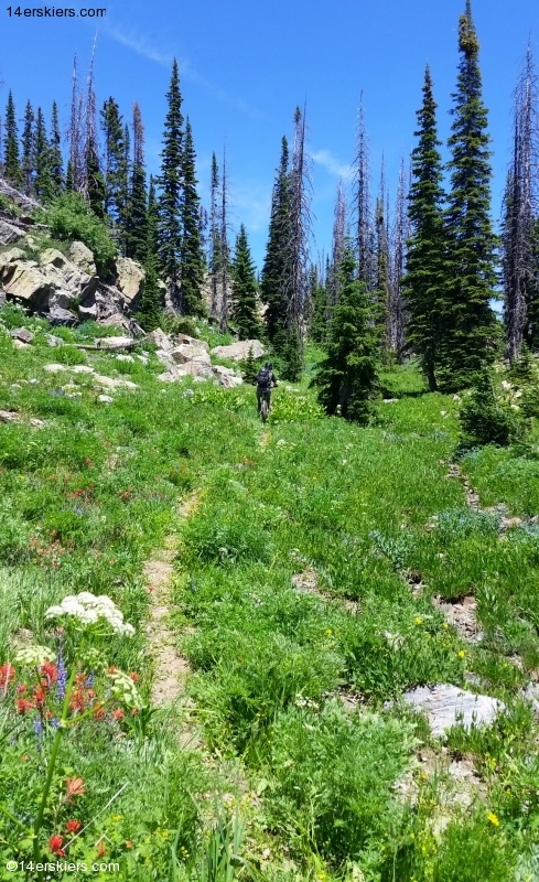 Larry Fontaine mountain biking Soda Mountain near Steamboat Springs.