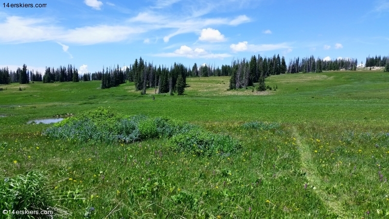 Mountain biking Soda Mountain near Steamboat Springs.