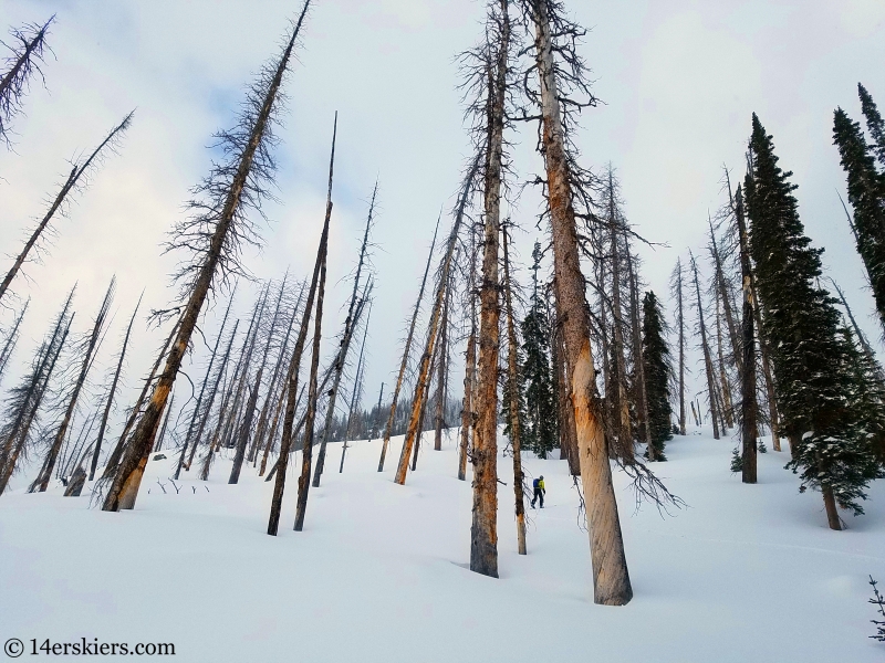 Backcountry skiing in Steamboat, Colorado!  