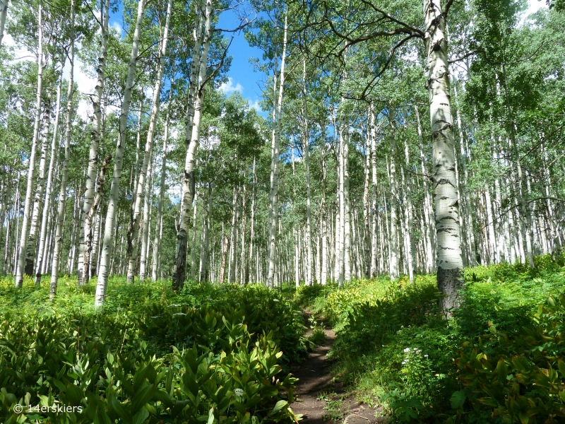 Swampy Pass hike near Crested Butte, CO.