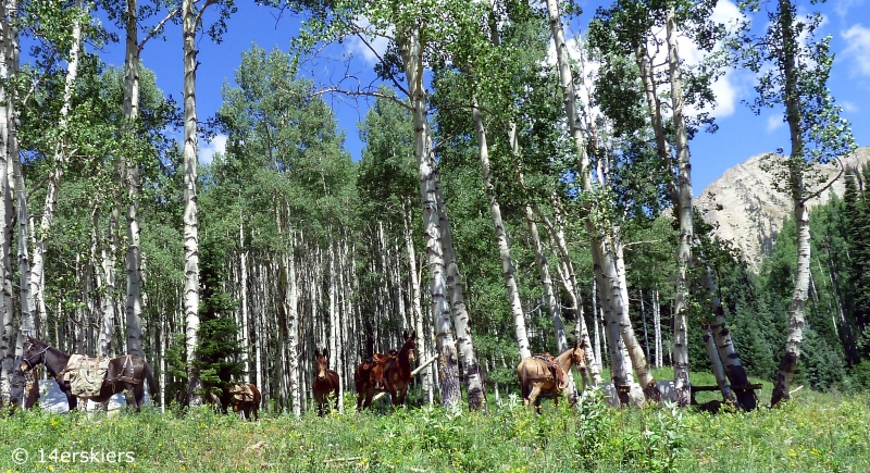 Swampy Pass hike near Crested Butte, CO.