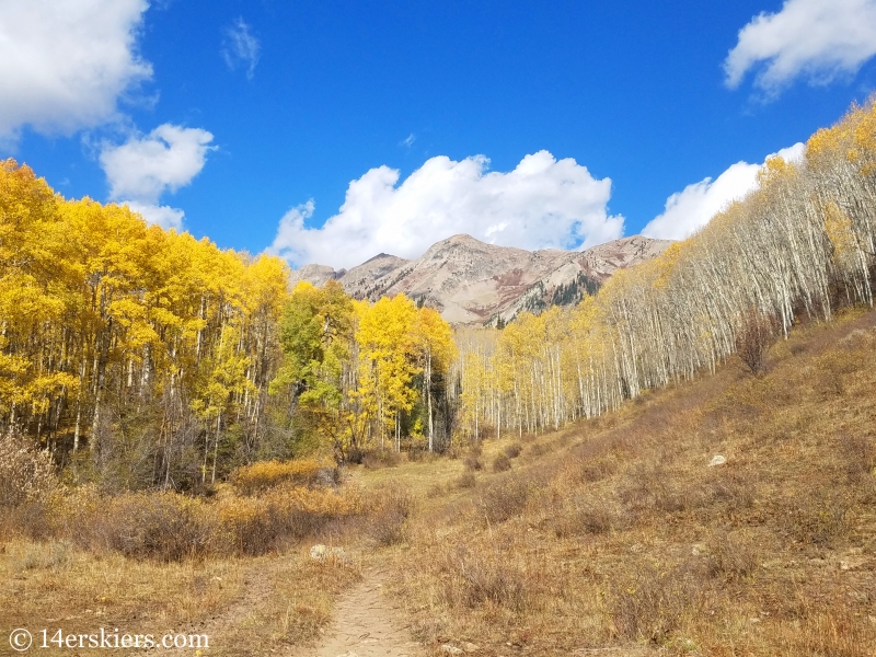 Anthracites seen from Swampy Pass Trail.