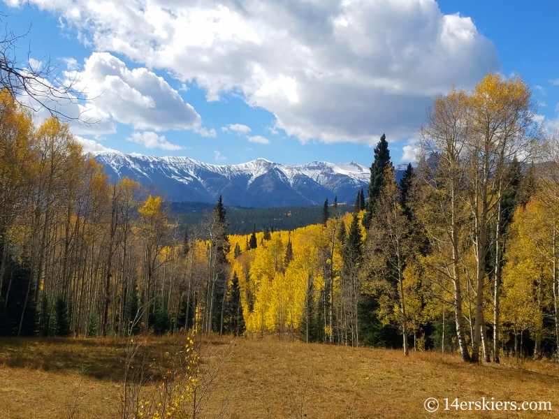 View of Storm Pass from Swampy Pass Trail