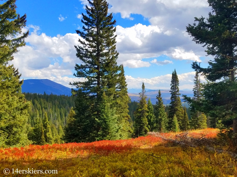 Views from Swampy Pass.