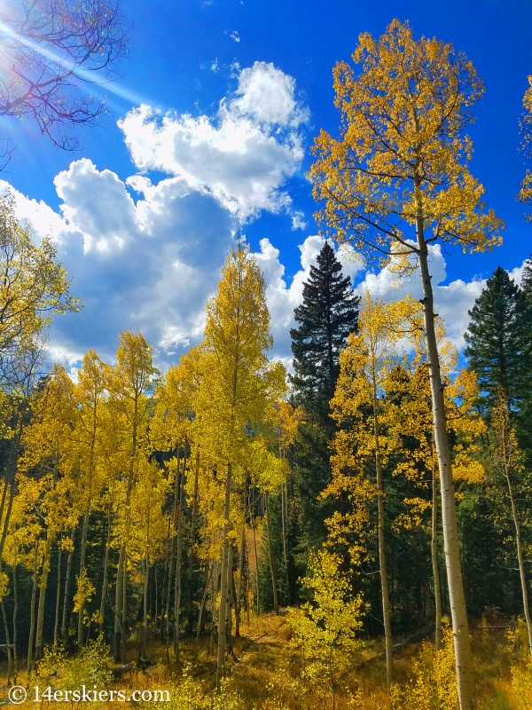 Swampy Pass Trail in fall near Crested Butte, CO.