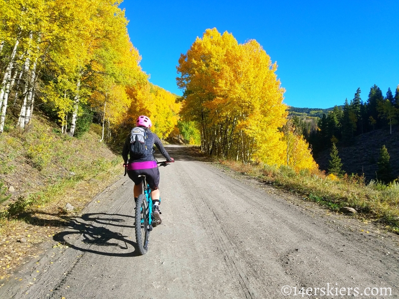 Mountain biking Marshall Pass to Colorado Trail to Tank Seven