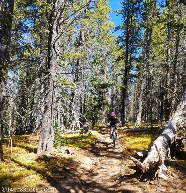 Mountain biking Marshall Pass to Colorado Trail to Tank Seven