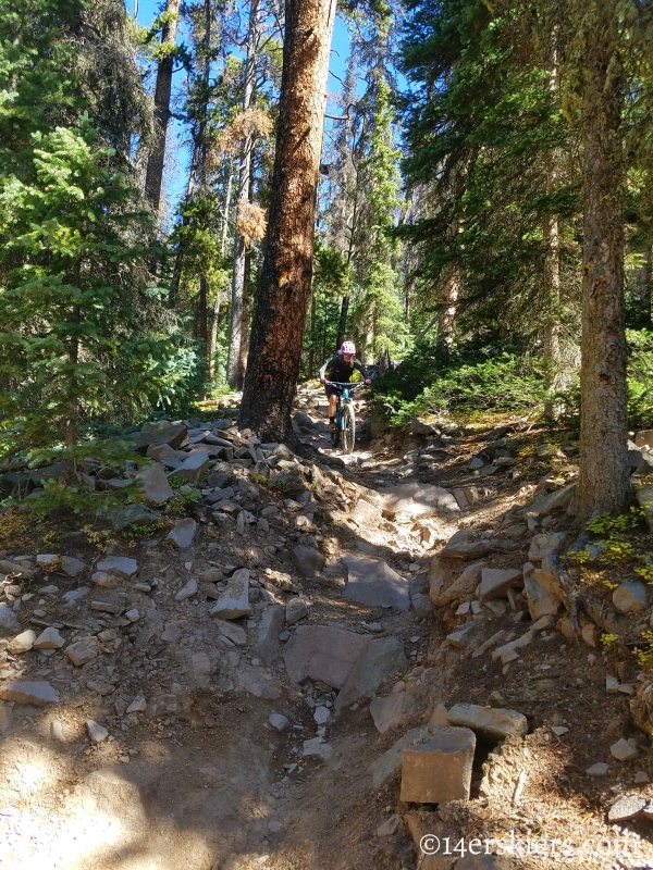 Mountain biking Marshall Pass to Colorado Trail to Tank Seven