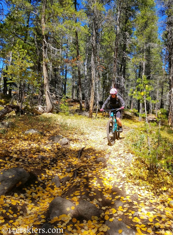 Mountain biking Marshall Pass to Colorado Trail to Tank Seven