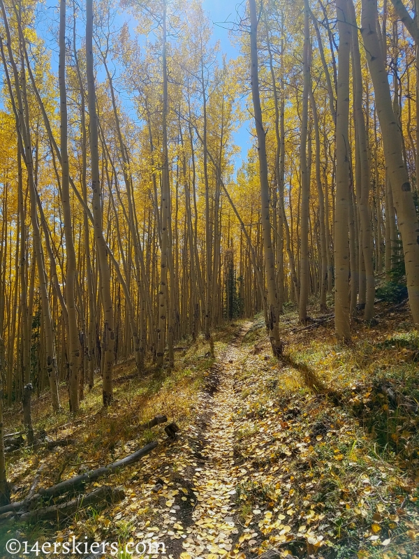 Mountain biking Marshall Pass to Colorado Trail to Tank Seven