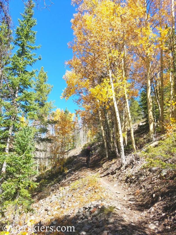 Mountain biking Marshall Pass to Colorado Trail to Tank Seven