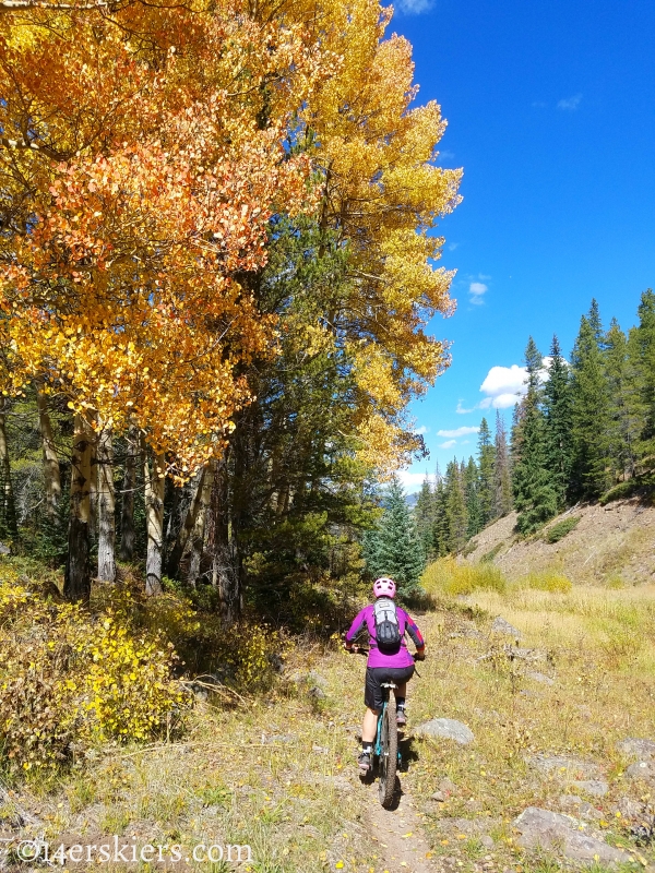 Mountain biking Tank Seven trail near Sargents, CO.