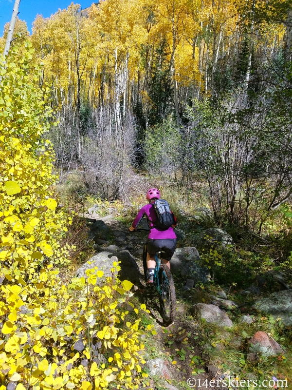 Mountain biking Tank Seven trail near Sargents, CO.