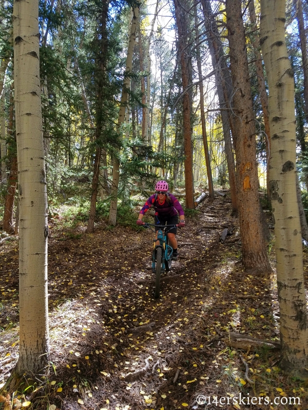 Mountain biking Tank Seven trail near Sargents, CO.