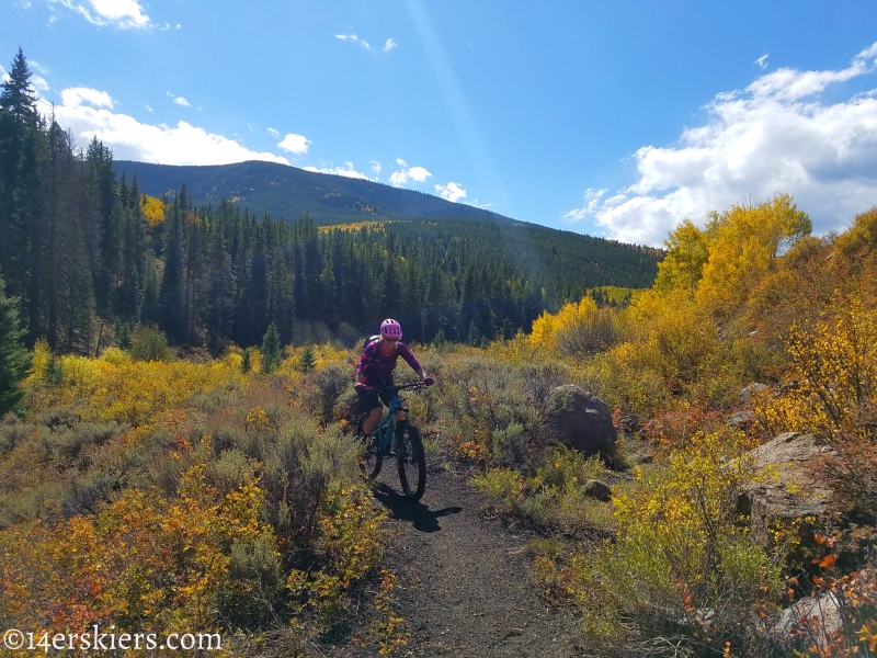 Mountain biking Tank Seven trail near Sargents, CO.