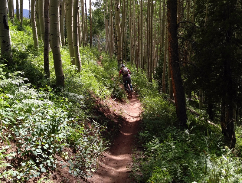 teo ridge mountain biking