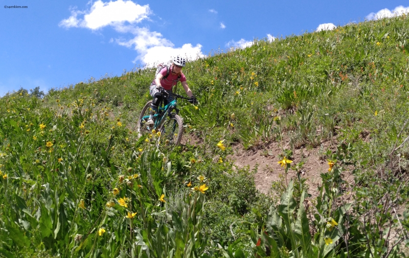 teocalli wildflowers