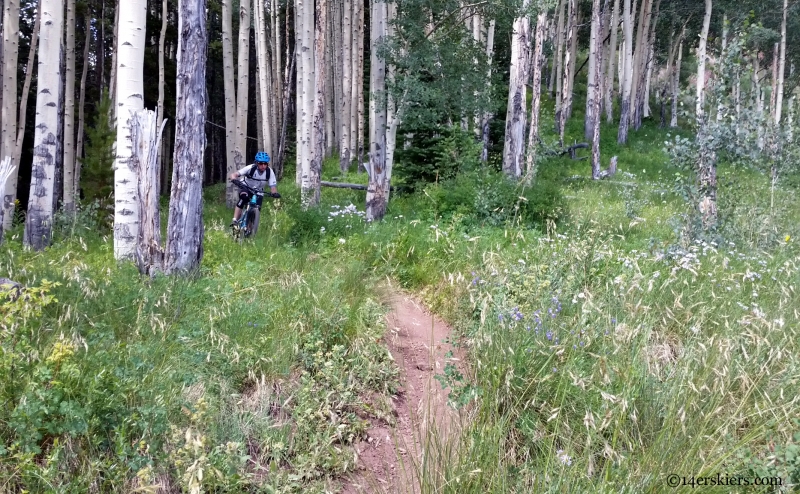 teo ridge and aspen bike riding