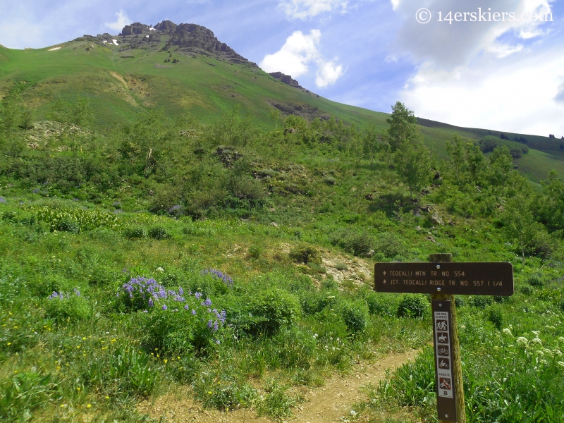 Teocalli Ridge trail sign