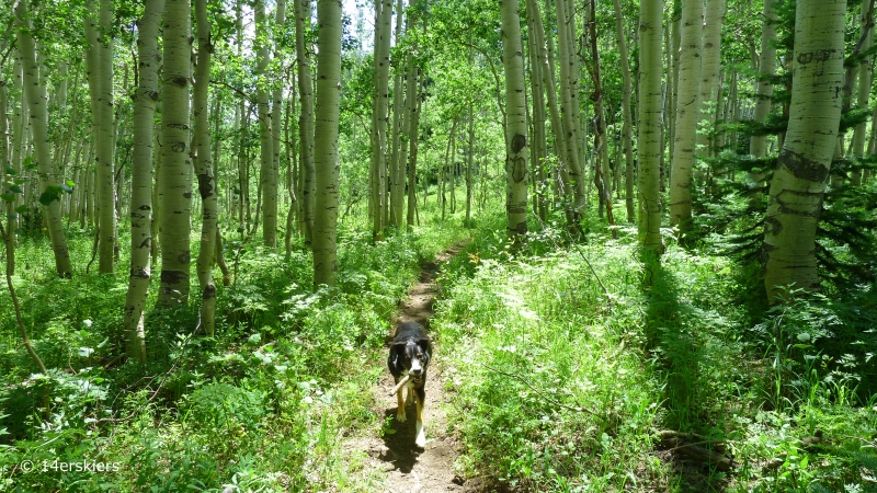 Three Lakes Trail and Beckwith Pass Hike near Crested Butte, CO