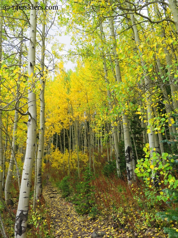 Three Lakes trail in the fall