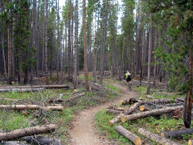 Mountain biking Tiger Run near Breckenridge, CO.