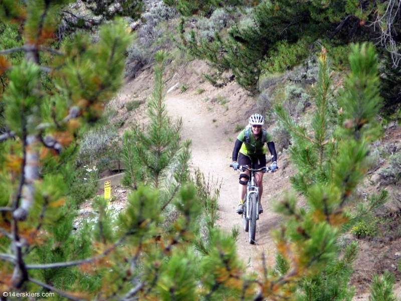 Mountain biking Tiger Run near Breckenridge, CO.