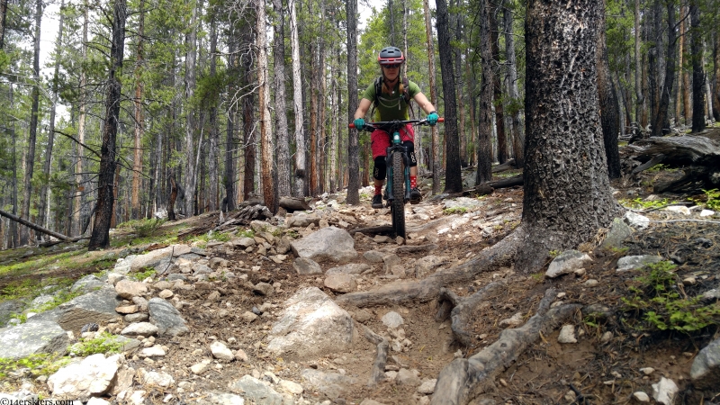 mountain biking taylor park timberline trail