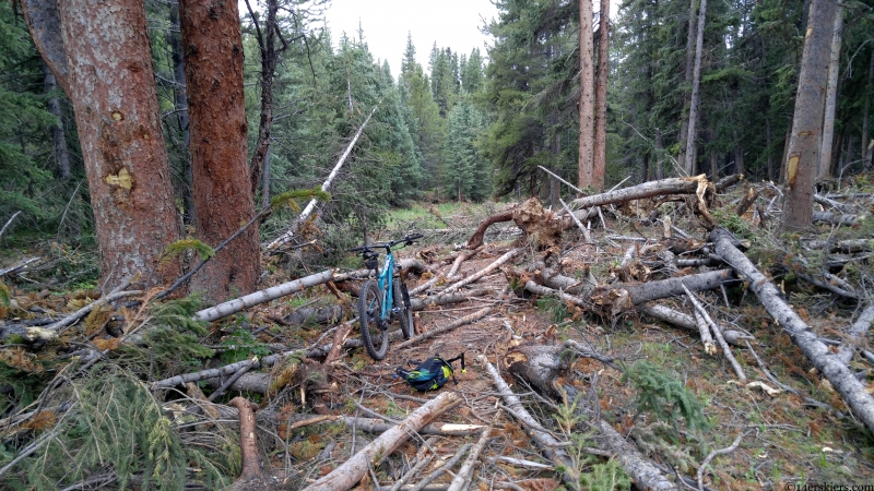 avalanche debris in taylor park