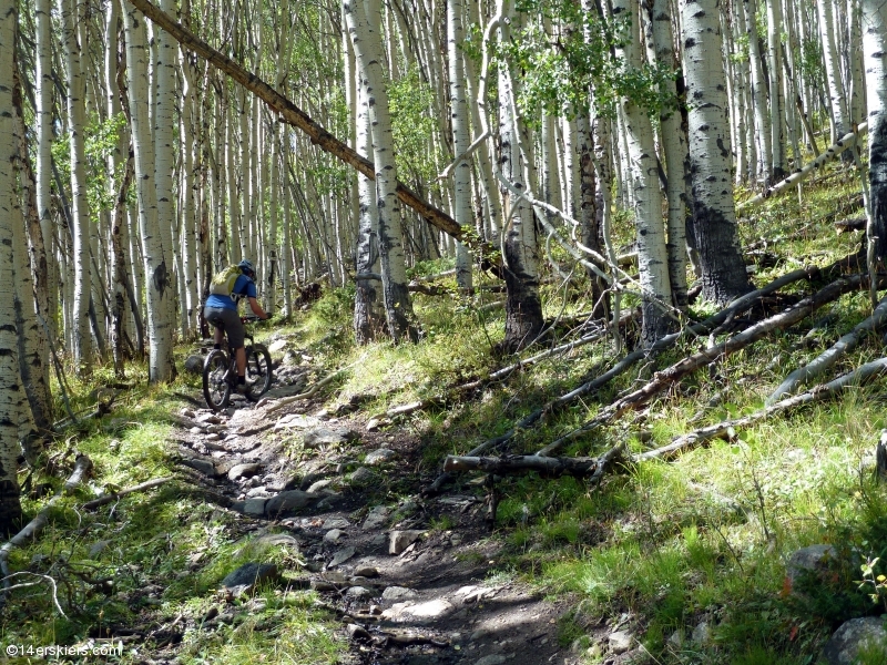 Mountain biking Texas Ridge in Taylor Park, CO