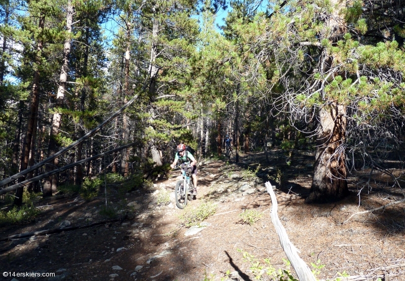 Mountain biking Texas Ridge in Taylor Park, CO