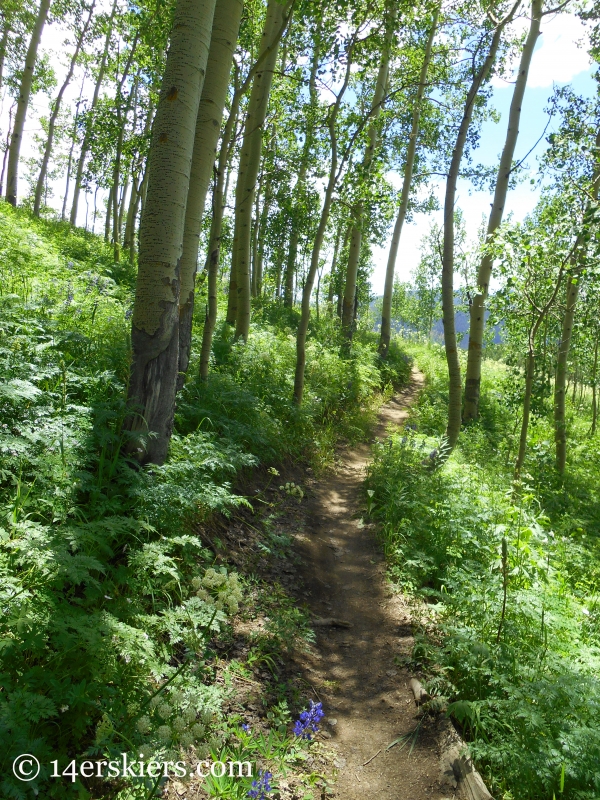 Mountain biking Westside at Crested Butte