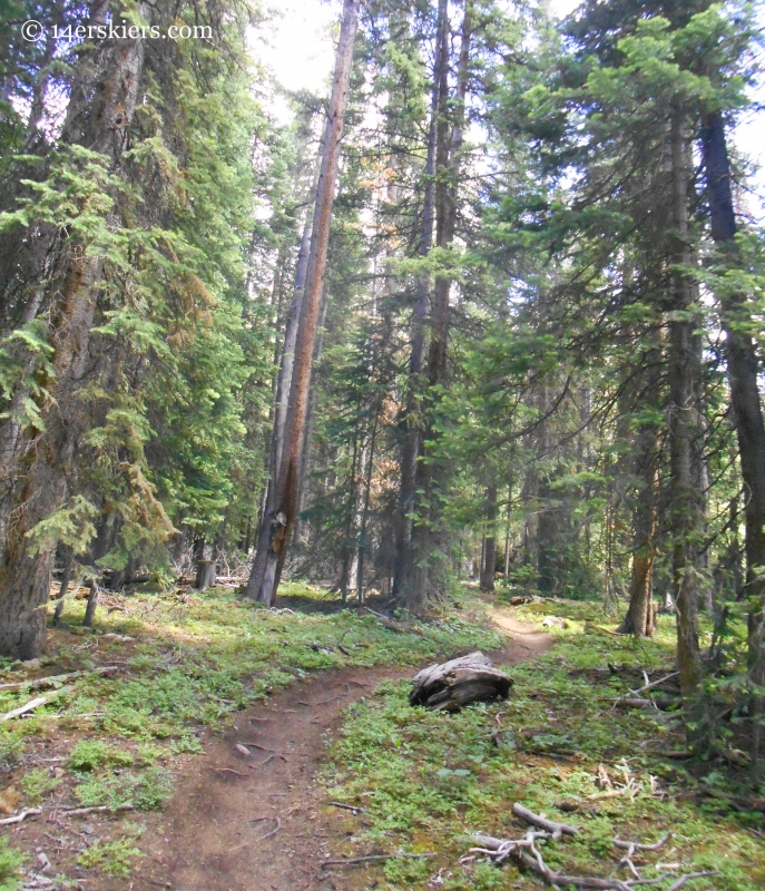 Mountain biking Westside at Crested Butte