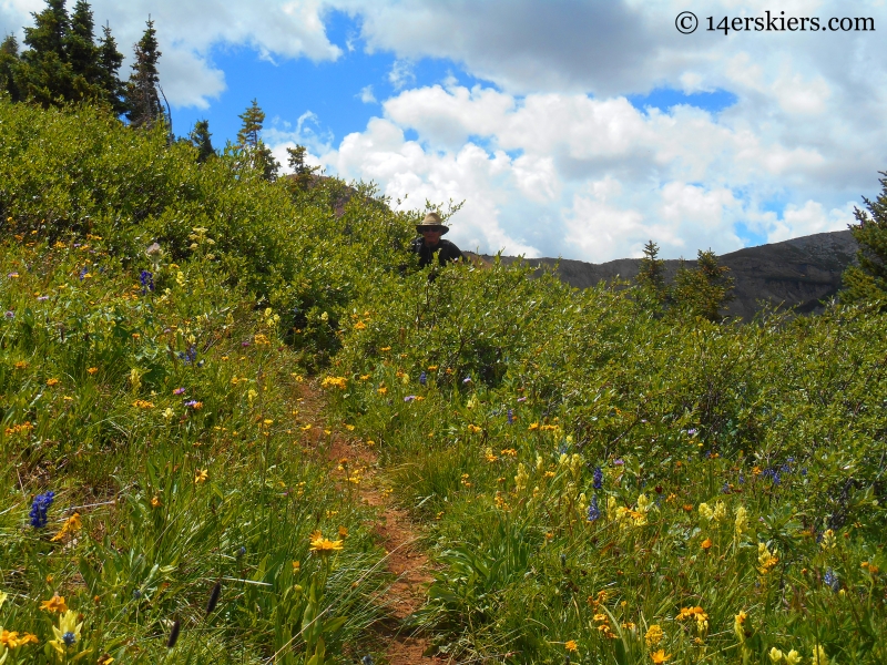 Hasley Basin Trail