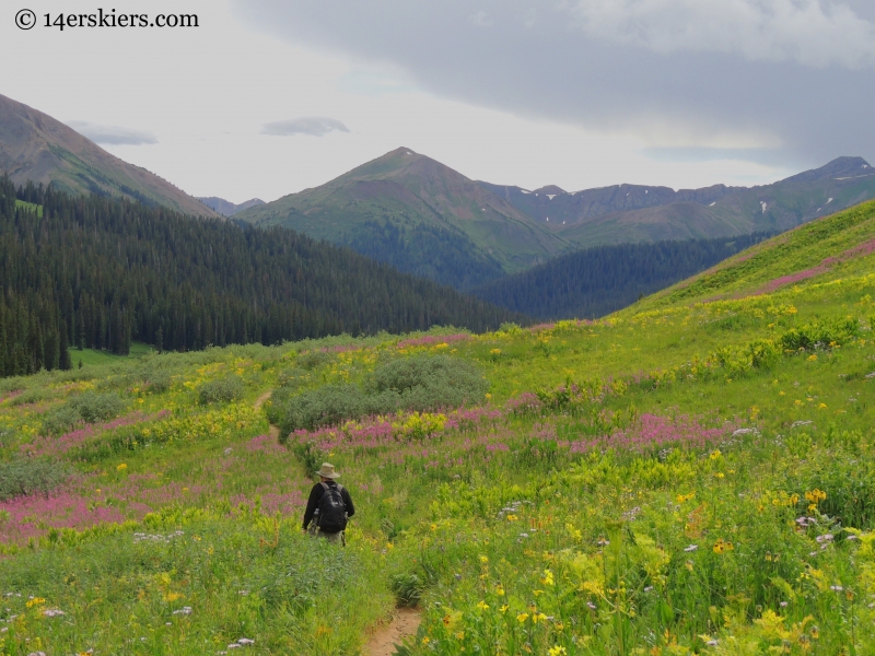 Fireweed on trail from West Maroon.