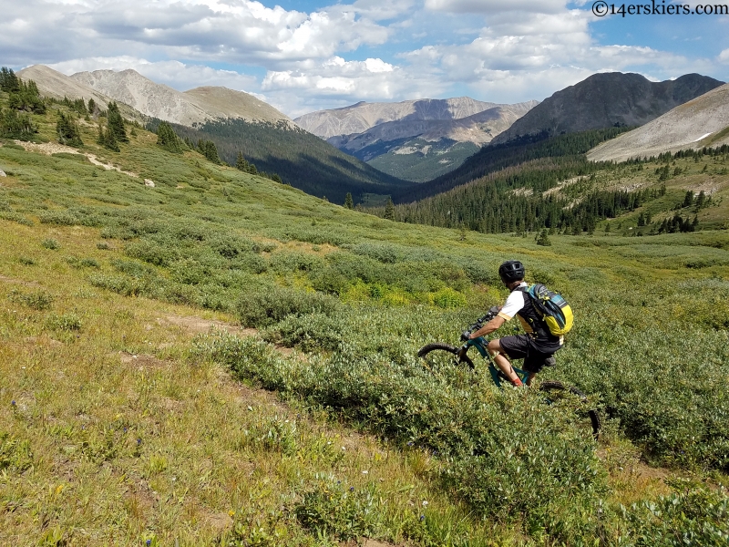 sawatch range alpine mountain biking