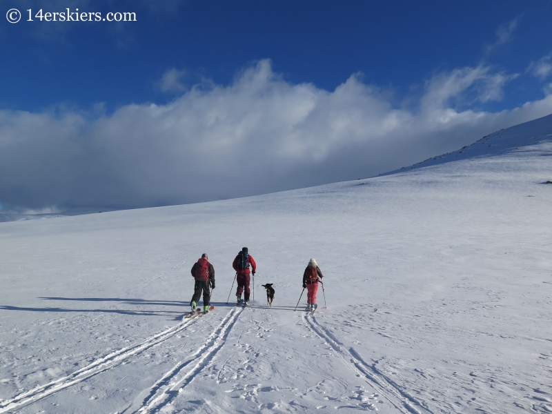 Skinning on Independence Pass to go backcountry skiing on Twining Peak. 