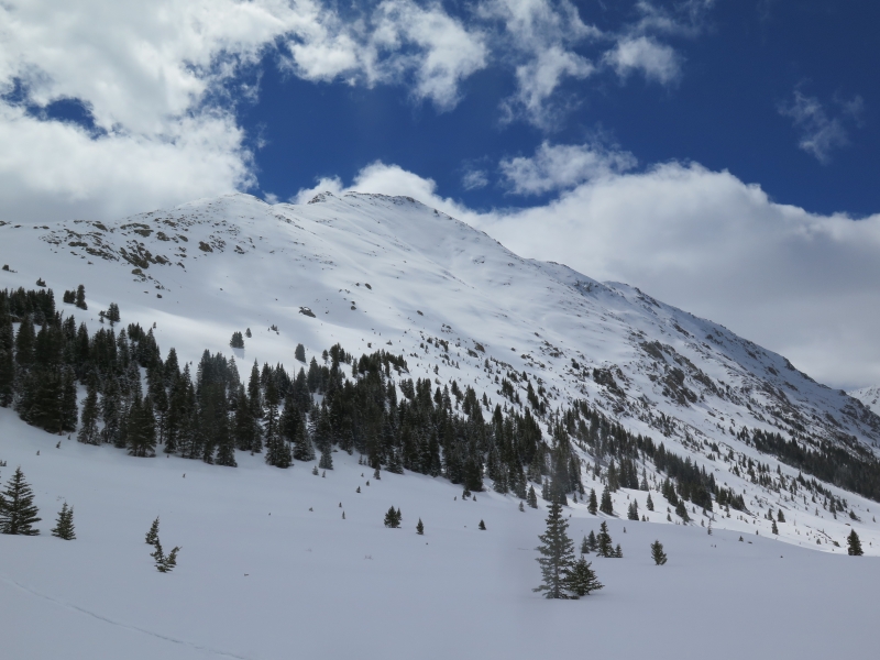 Point 13736 near Independence Pass. 