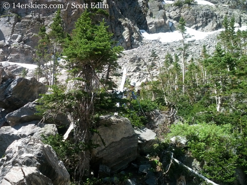 Bushwhacking for summer backcountry skiing.