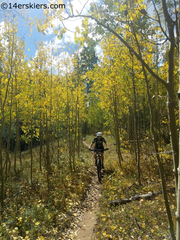 Trail 412 Cement Creek crested butte