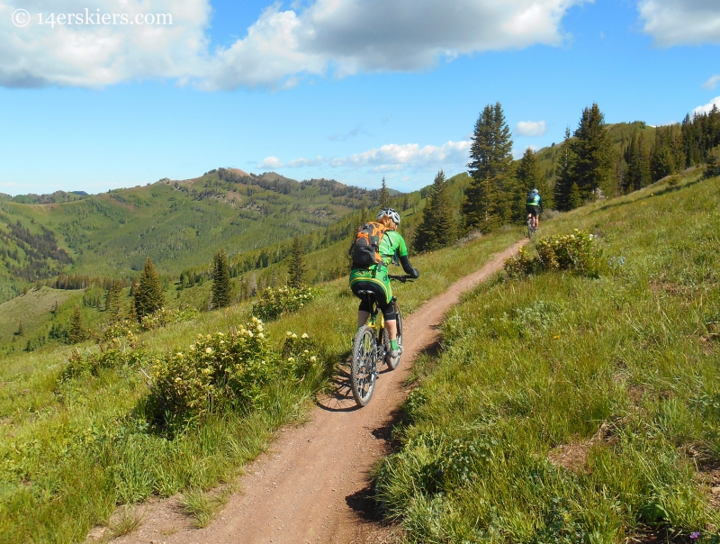 riding on the Wasatch Crest Trail