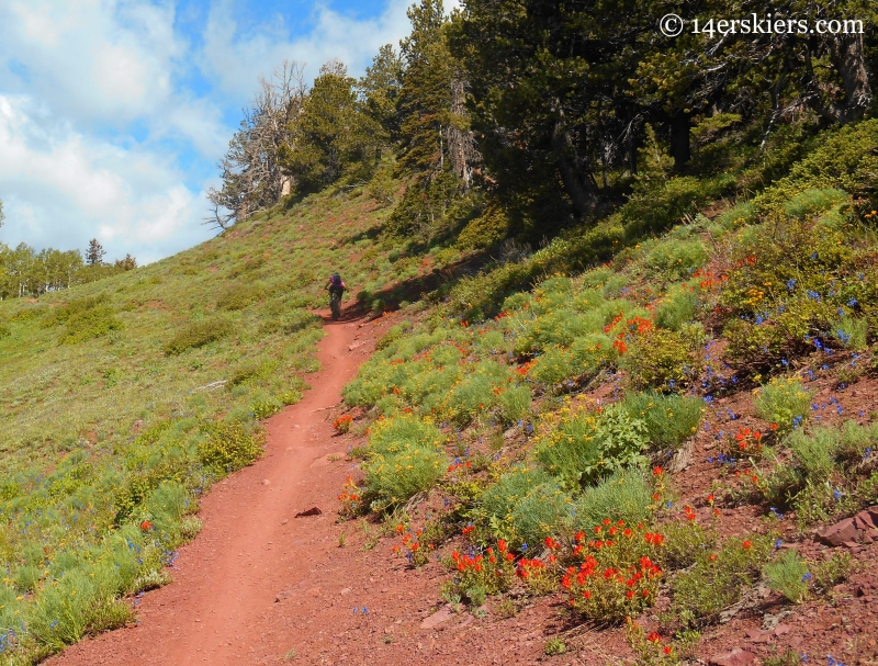 riding on the Wasatch Crest