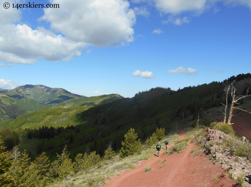 riding the Wasatch Crest Trail