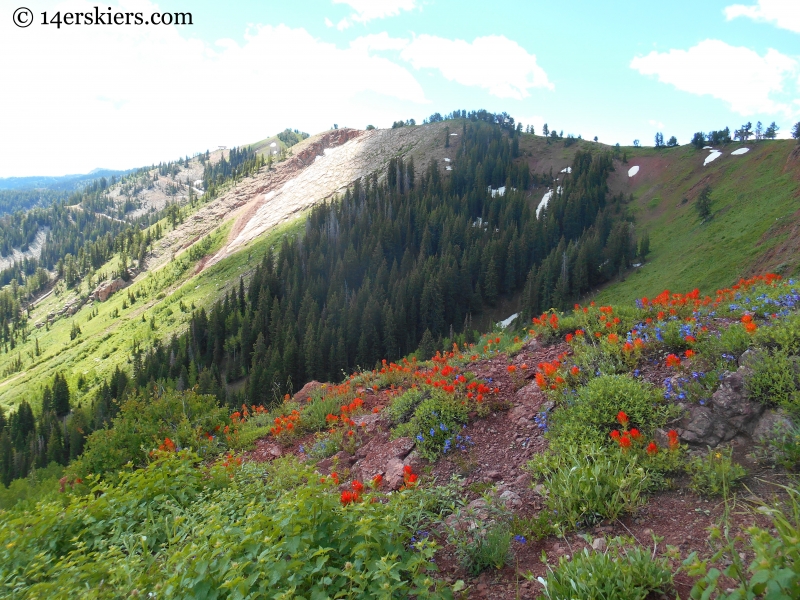 Square Top seen from the Wasatch Crest Trail