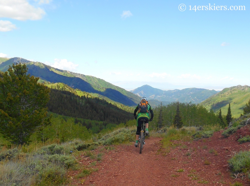 Wasatch Crest Trail ride