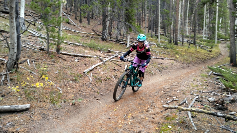 waunita trail near canyon creek