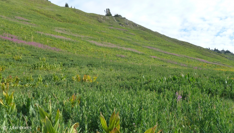 Hiking West Maroon Pass from Crested Butte to Aspen