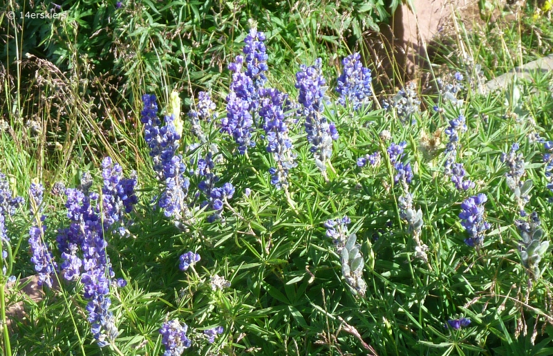 Hiking West Maroon Pass from Crested Butte to Aspen