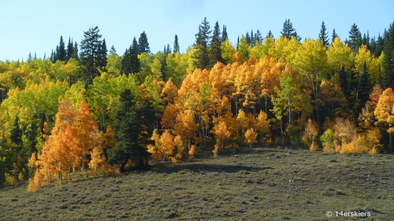Crested Butte fall colors